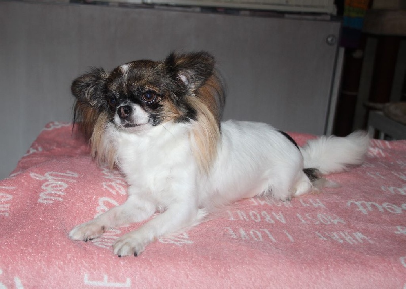 Ice de La Petite Ferme De Nénette